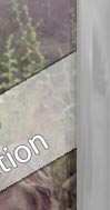 banner3