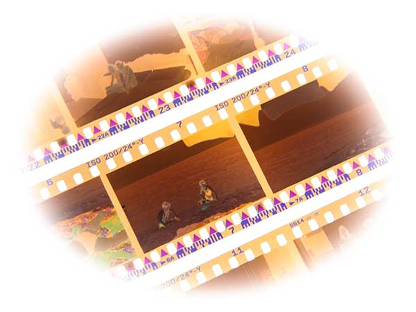 135 Negatives